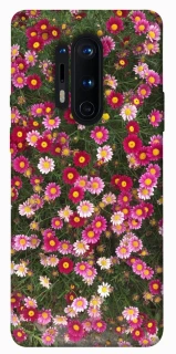 Чохол на OnePlus 8 Pro Flowers v8 фото 1 з 1