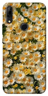 Чехол на Huawei P Smart Z Camomile фото 1 из 1