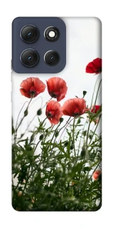 Чохол на Motorola Moto G86 Поле маків фото 1 з 1