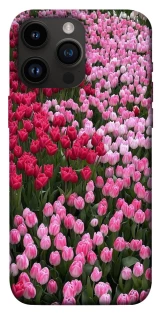 Чехол на Apple iPhone 14 Pro Max (6.7") Flowers v9 фото 1 из 1