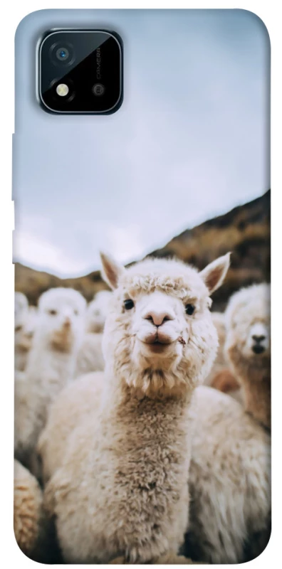 Чохол на Realme C20 Лама фото 1 з 1