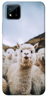 Чохол на Realme C20 Лама фото 1 з 1