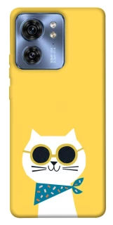 Чохол на Motorola Edge 40 Кіт-муркіт фото 1 з 1