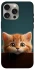 Чехол на Apple iPhone 15 Pro Max (6.7") Чехол Котёнок фото 1 из 1