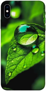 Чехол на Apple iPhone X (5.8") Flowers v16 фото 1 из 1