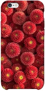 Чехол на Apple iPhone 6/6s plus (5.5") Midnight1 фото 1 из 1