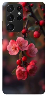 Чохол на Samsung Galaxy S21 Ultra Flowers v28 фото 1 з 1