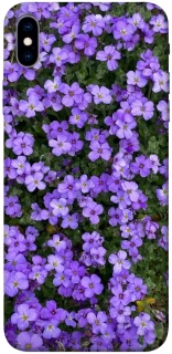 Чохол на Apple iPhone XS Max (6.5") Flowers v17 фото 1 з 1