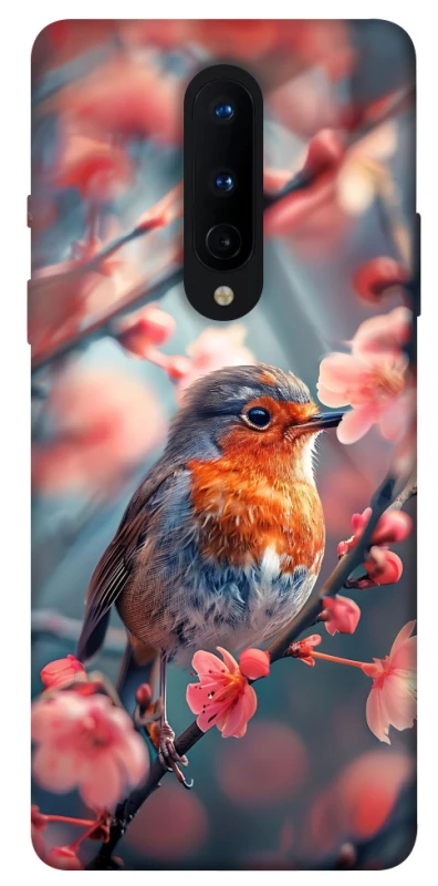 Чохол на OnePlus 8 Birdie фото 1 з 1