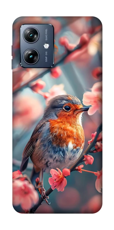 Чехол на Motorola Moto G54 Power Birdie фото 1 из 1