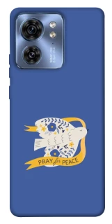 Чехол на Motorola Edge 40 Ласточка фото 1 из 1