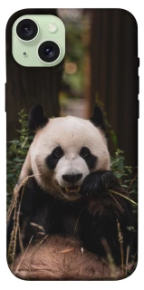 Чехол на Apple iPhone 15 Plus (6.7") Панда фото 1 из 1