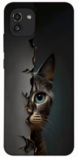 Чехол на Samsung Galaxy A03 Кот-подглядыватель v2 фото 1 из 1
