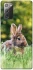Чехол на Samsung Galaxy Note 20 Кролики фото 1 из 1