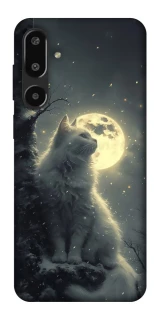 Чохол на Samsung Galaxy F16 Кіт під місяцем фото 1 з 1