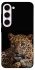 Чохол на Samsung Galaxy S23+ Leopard v4 фото 1 з 1