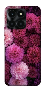 Чохол на Huawei Honor X6a Garden1 фото 1 з 1