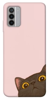 Чохол на Nokia G42 Peeping cat фото 1 з 1