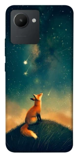 Чехол на Realme C30 Sky fox фото 1 из 1
