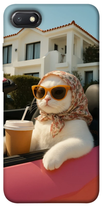 Чохол на Xiaomi Redmi 6A Stylish Cat Cruise фото 1 з 1