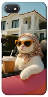 Чохол на Xiaomi Redmi 6A Stylish Cat Cruise фото 1 з 1