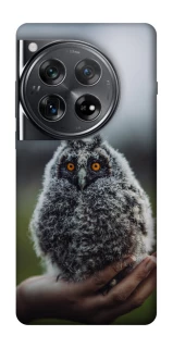 Чехол на OnePlus 12 Совёнок фото 1 из 1