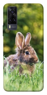 Чехол на Vivo Y31 Кролики фото 1 из 1