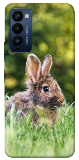 Чехол на TECNO Camon 18 Кролики фото 1 из 1