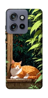 Чохол на Motorola Edge 50 Neo red cat фото 1 з 1