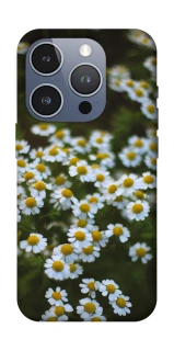 Чехол на Apple iPhone 16 Pro Ромашки v13 фото 1 из 1
