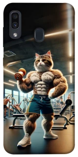 Чохол на Samsung Galaxy A20 / A30 Кіт качок фото 1 з 1