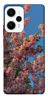 Чохол на Xiaomi Poco F5 / Note 12 Turbo Flowers v4 фото 1 з 1