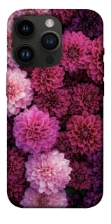 Чохол на Apple iPhone 14 Pro (6.1") Garden1 фото 1 з 1