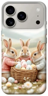 Чехол на Apple iPhone 17 Pro (6.3") BunnyMood фото 1 из 1