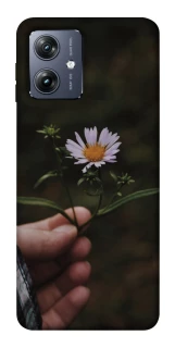 Чохол на Motorola Moto G54 Ромашка v4 фото 1 Чохол на Motorola Moto G54 Ромашка v4 фото 1 з 1