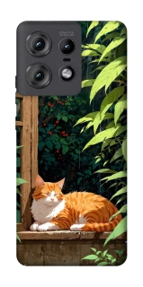 Чехол на Motorola Edge 50 Pro red cat фото 1 из 1