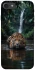 Чохол на Apple iPhone 7 / 8 (4.7") Leopard in water фото 1 з 1