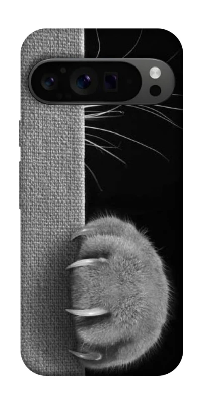 Чехол на Google Pixel 9 Pro Spy Cat фото 1 из 1