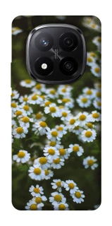 Чехол на Xiaomi Redmi Note 14 Pro+ 5G Ромашки v13 фото 1 из 1