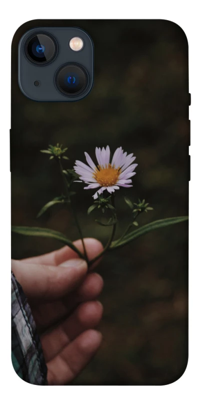 Чехол на Apple iPhone 13 (6.1") Ромашка v4 фото 1 из 1