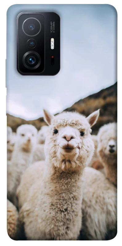 Чехол на Xiaomi 11T / 11T Pro Лама фото 1 из 1