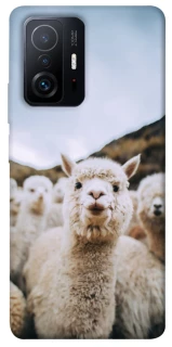 Чохол на Xiaomi 11T / 11T Pro Лама фото 1 з 1