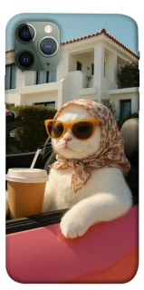 Чохол на Apple iPhone 11 Pro Max (6.5") Stylish Cat Cruise фото 1 з 1