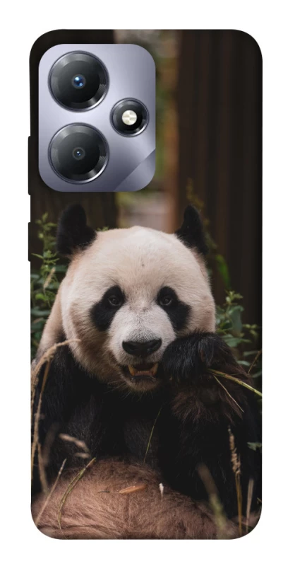Чохол на Infinix Hot 30i Панда фото 1 з 1