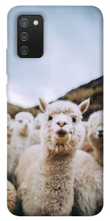 Чохол на Samsung Galaxy A02s Лама фото 1 з 1