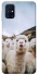 Чохол на Samsung Galaxy M31s Лама фото 1 з 1