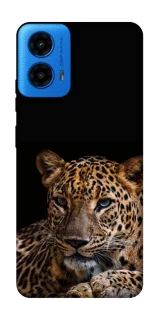 Чехол на Motorola Moto G45 Leopard v4 фото 1 из 1