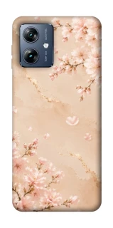 Чехол на Motorola Moto G54 Power Sakura ver.2 фото 1 из 1