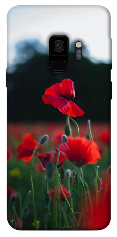 Чехол на Samsung Galaxy S9 Мак фото 1 из 1
