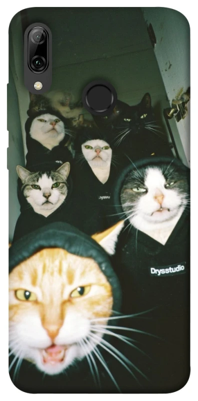 Чехол на Huawei P Smart (2019) Сatsss фото 1 из 1